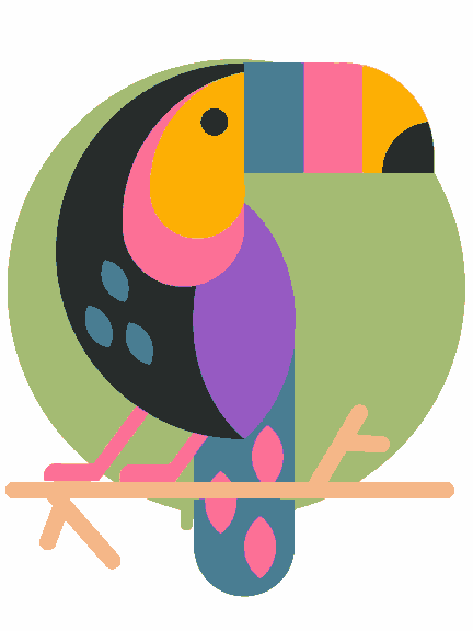 Toucan Bird Colorful