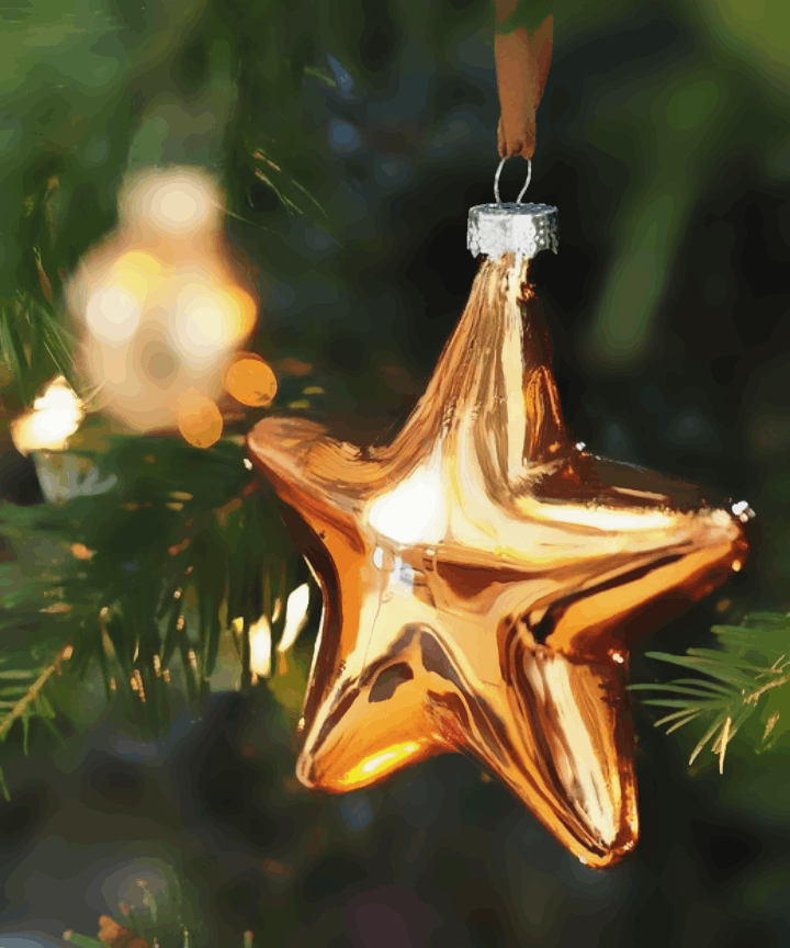 Christmas Ornament