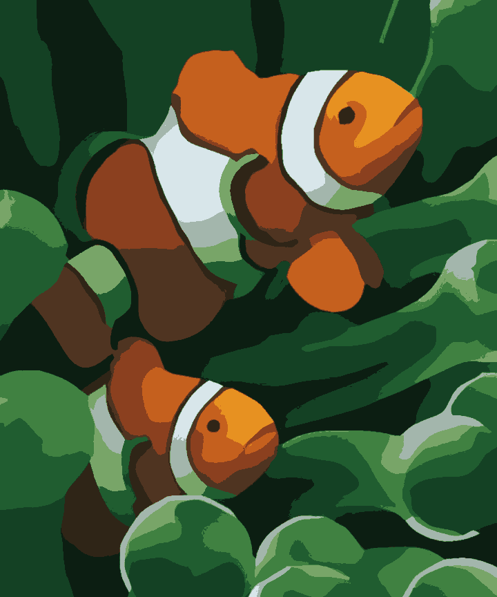 Nemo