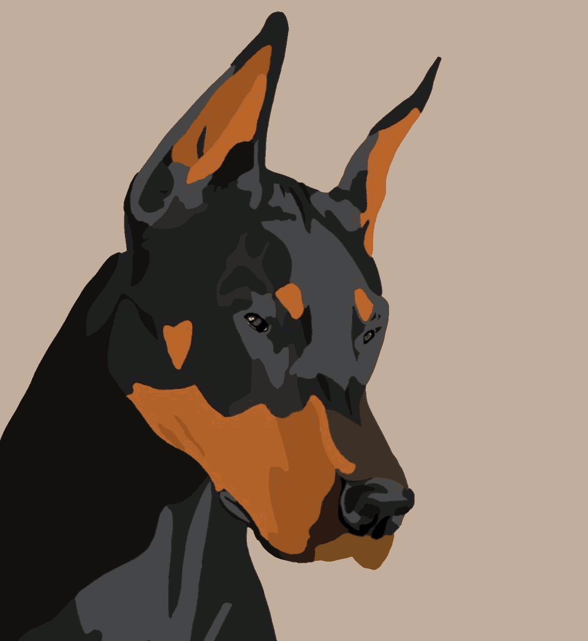 Doberman Portrait