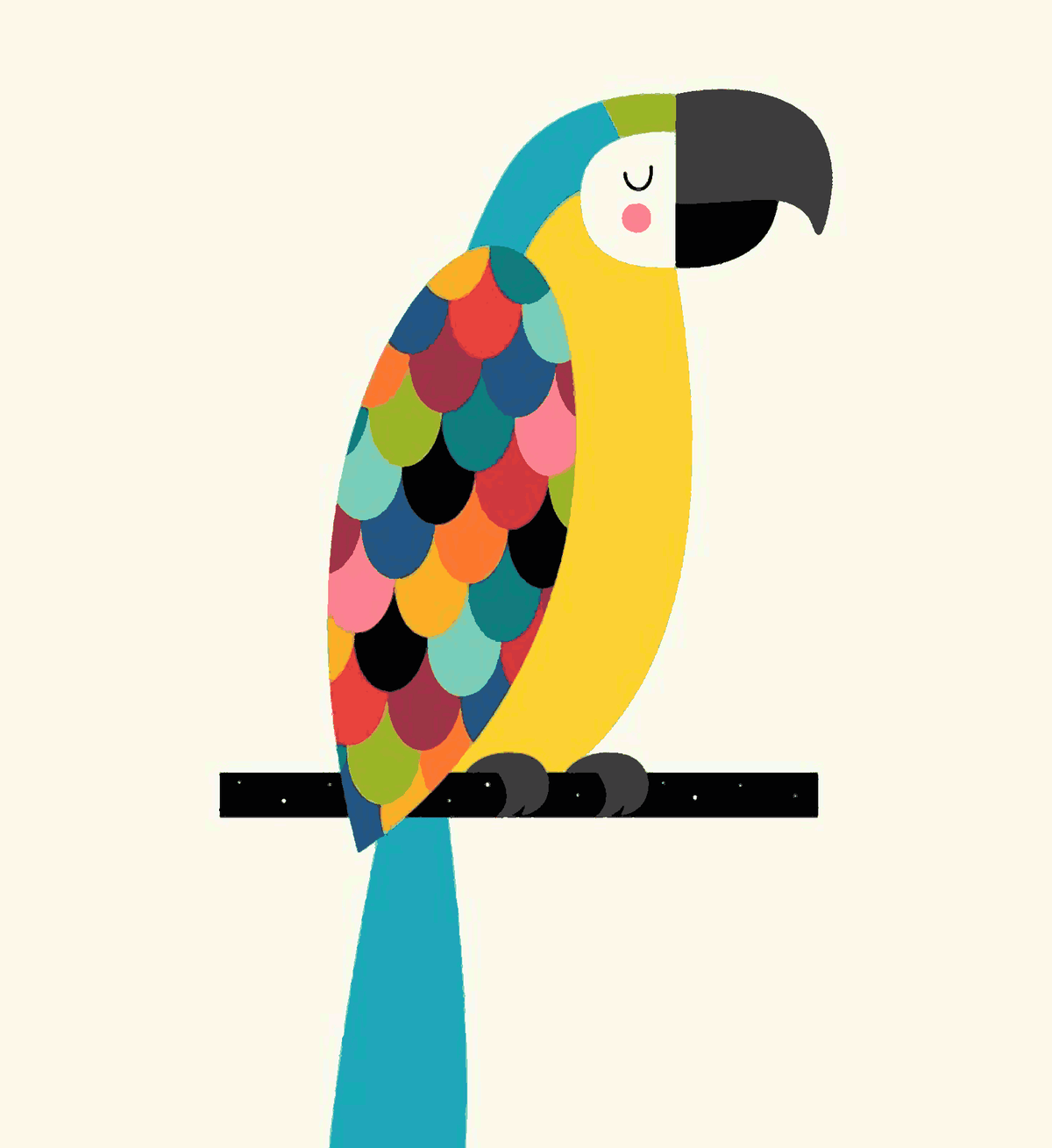 Macaw Parrot
