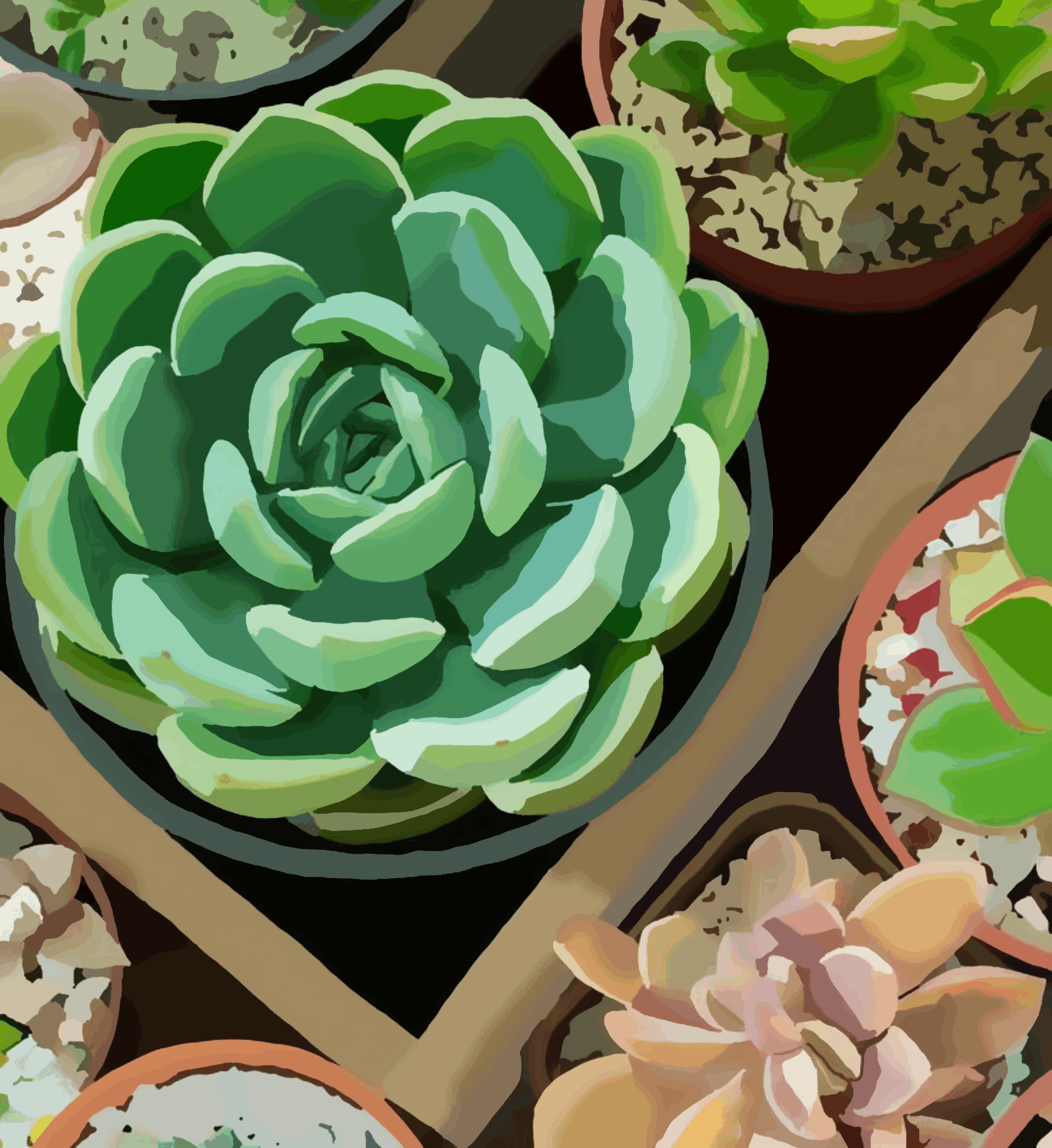 Cactus Farm