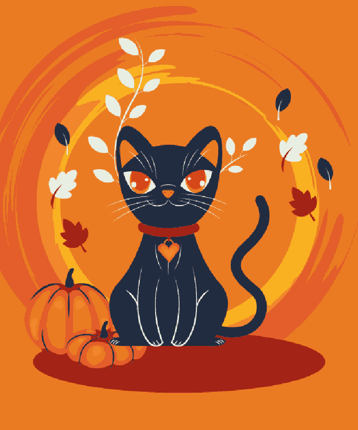 Black Cat