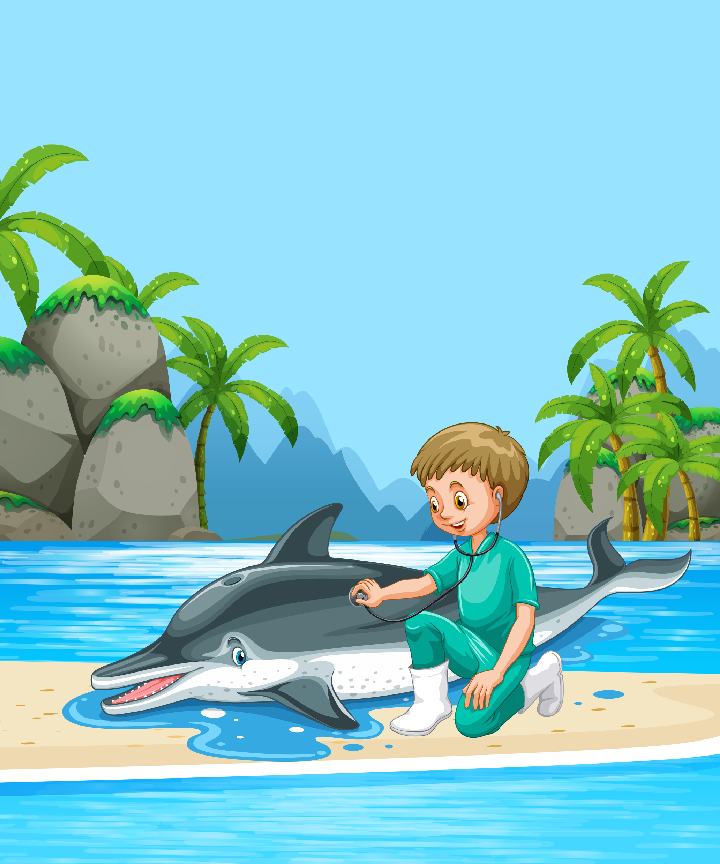 Boy & Dolphin
