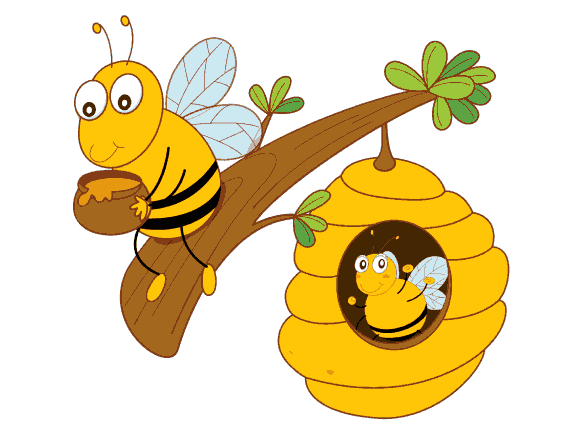 Honeybees & Comb