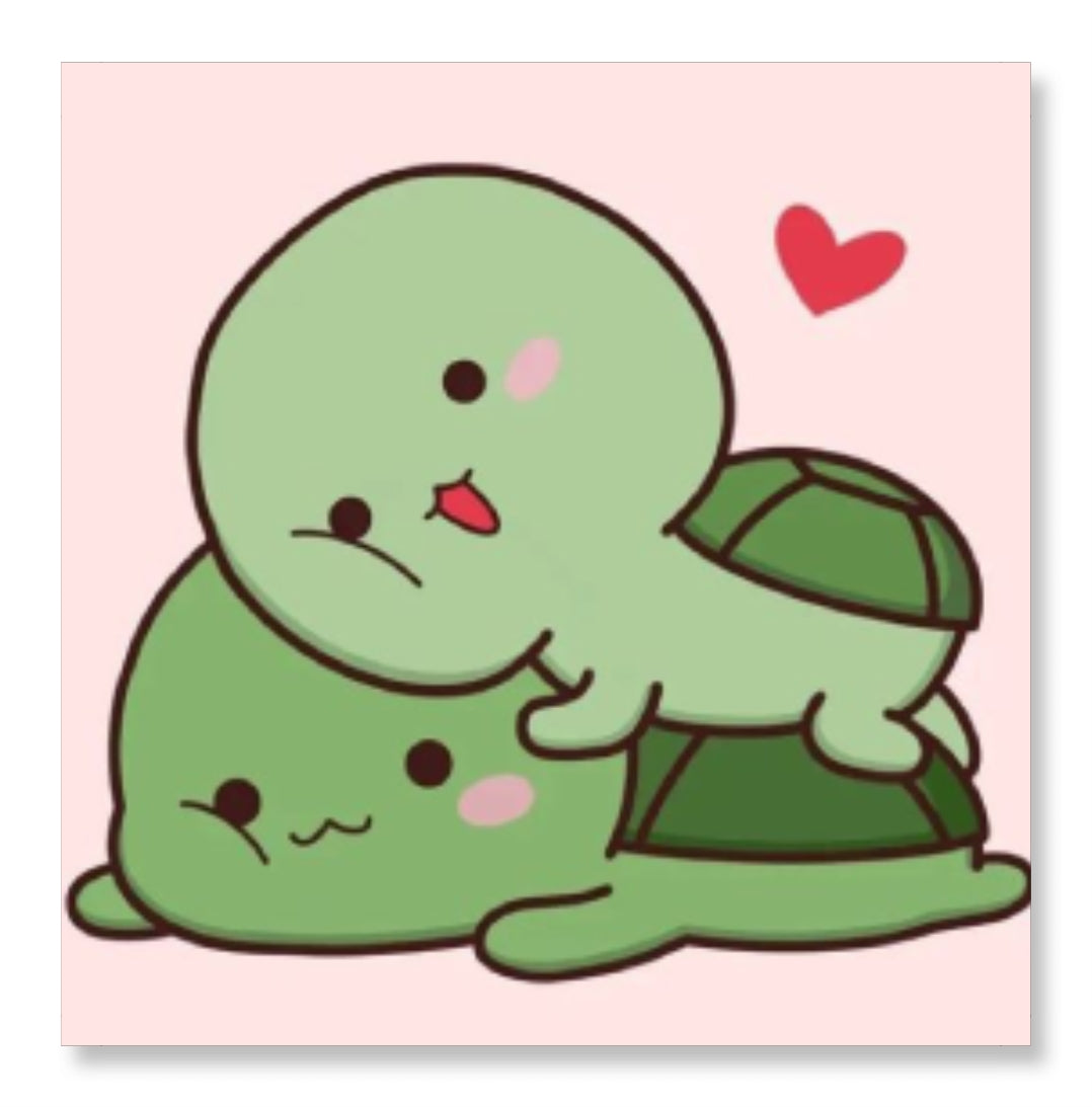 Turtles Fun Love - Valentine Special
