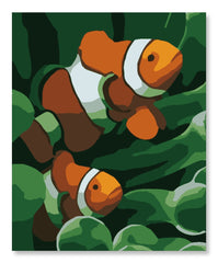 Nemo