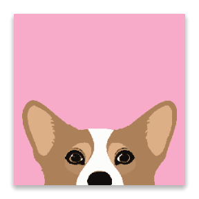 The Corgi Peek