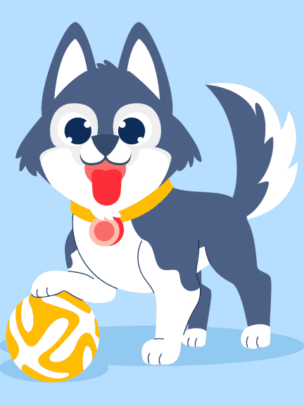 Pet playing with Ball