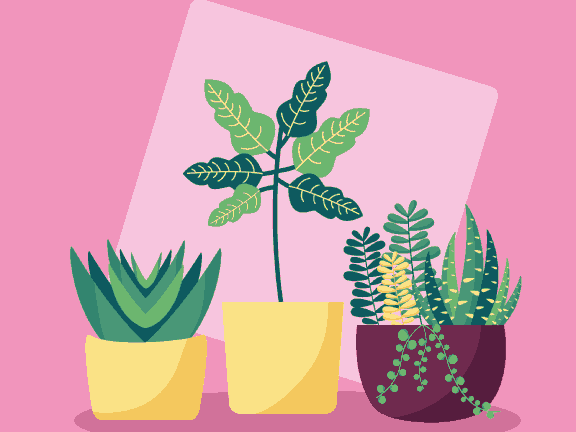 Plants In Pink