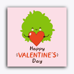 Happy Valentines Day