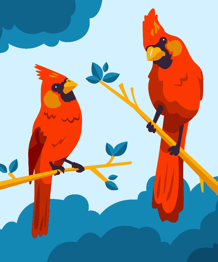 Red Robbin Birds
