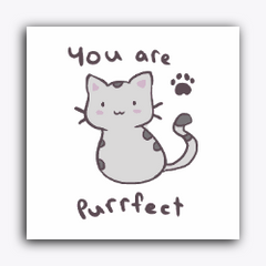 You are Purrfect