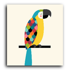 Macaw Parrot