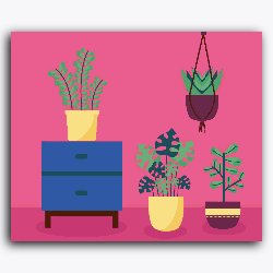 Plants & Furniture