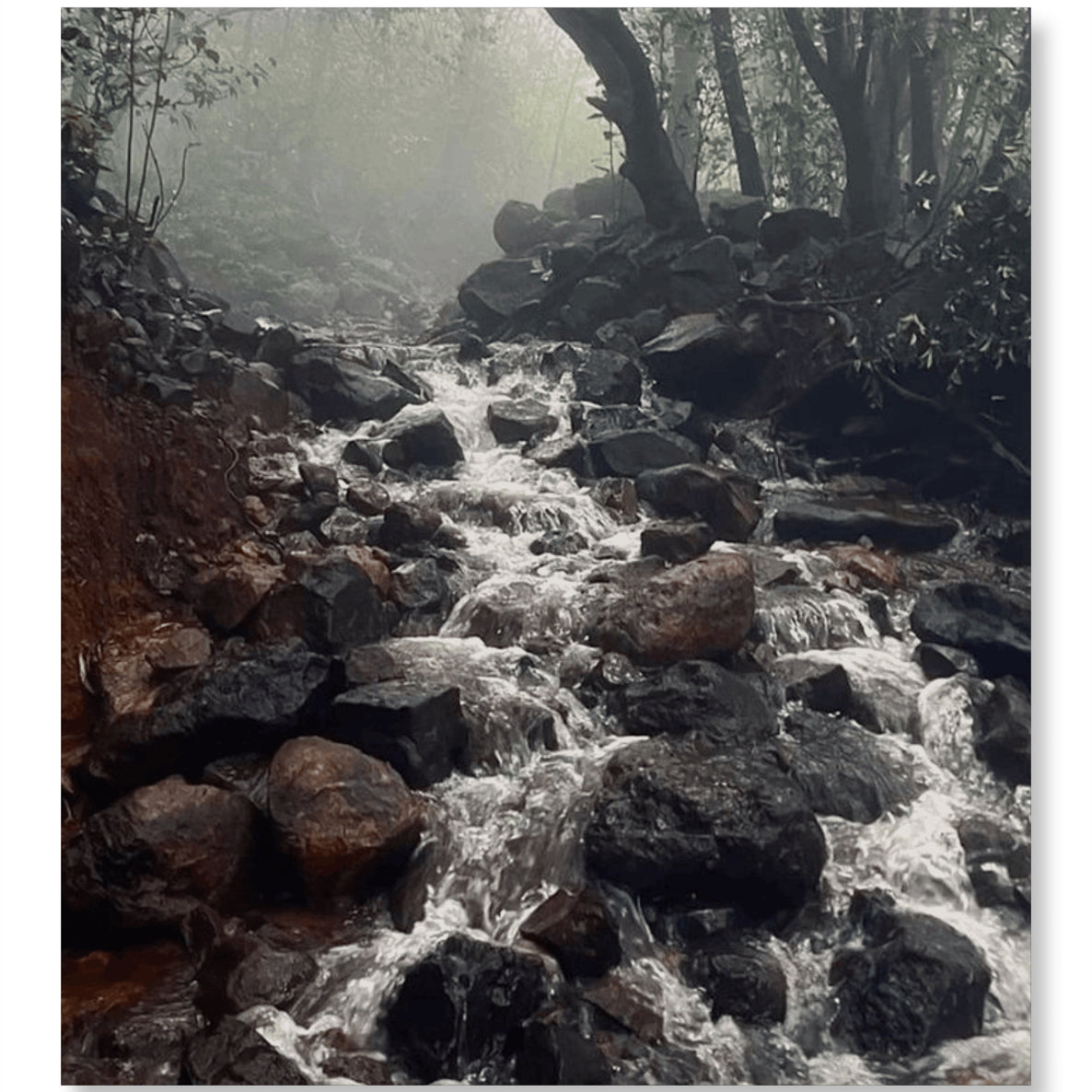 Sawan ka Safar - Monsoon Edition