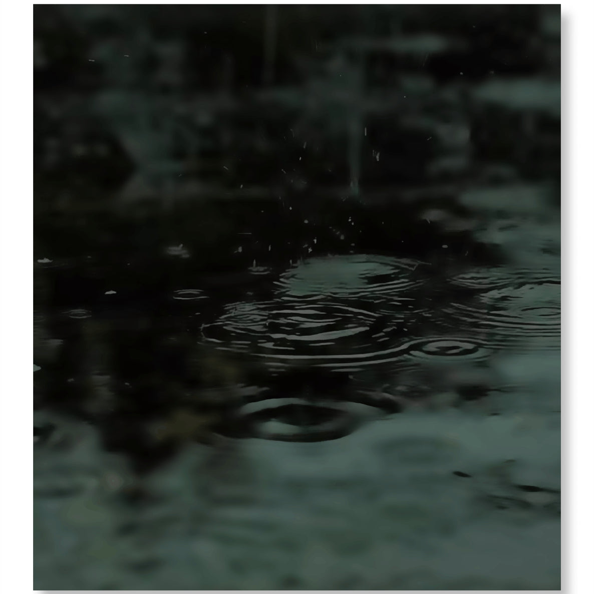 Saawan ki Boodein - Monsoon Edition