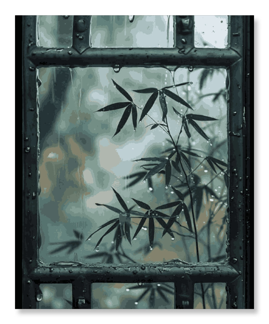 Framed by Rain - Monsoon Edition