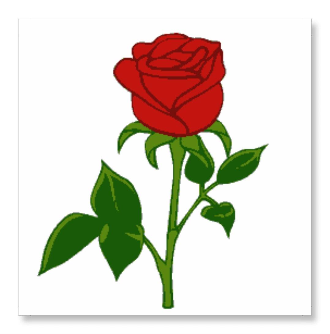 A Rose for You - Valentine Rose Day