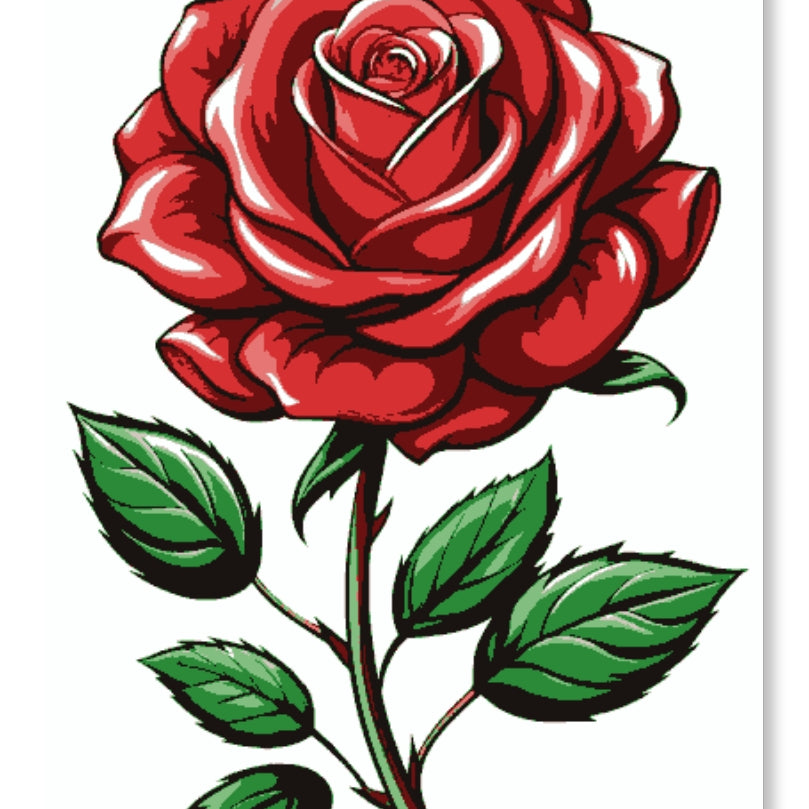 Rose of Love - Valentine Rose Day