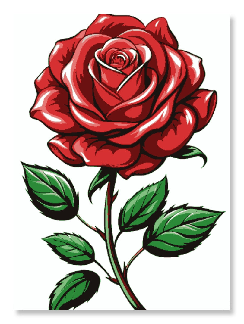 Rose of Love - Valentine Rose Day