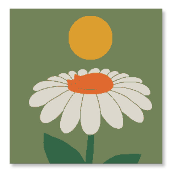 Daisy Nap
