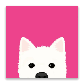 Cotton Candy Canine