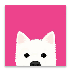 Cotton Candy Canine