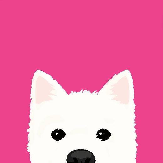Cotton Candy Canine
