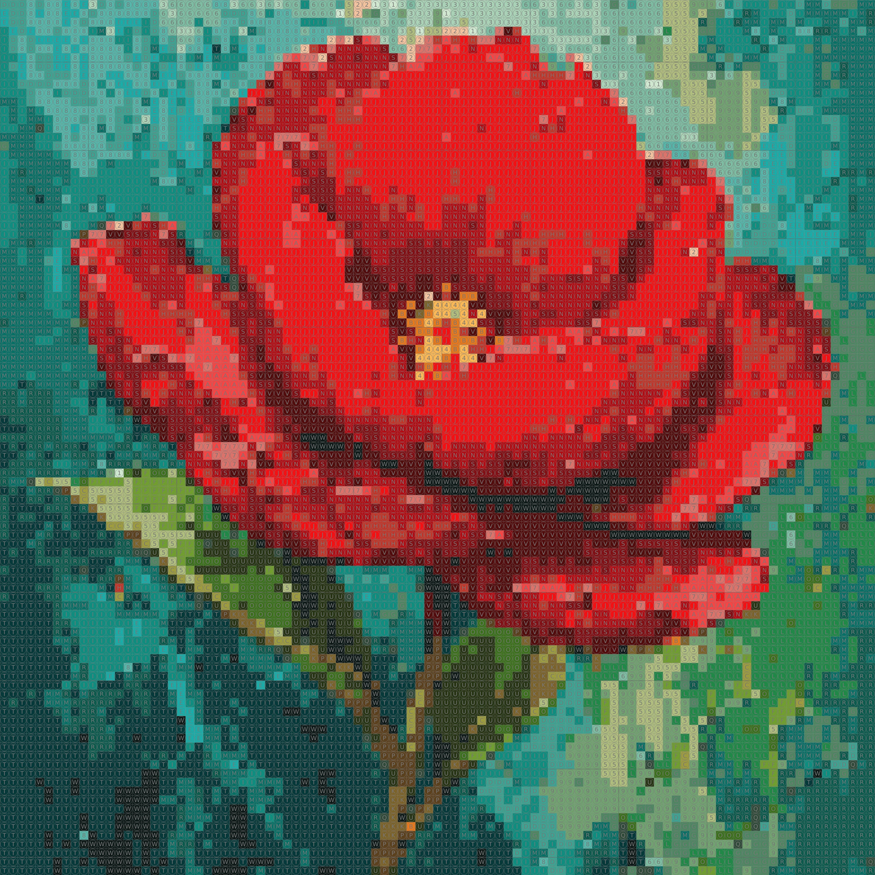 Chroma Rose - Dot by Number