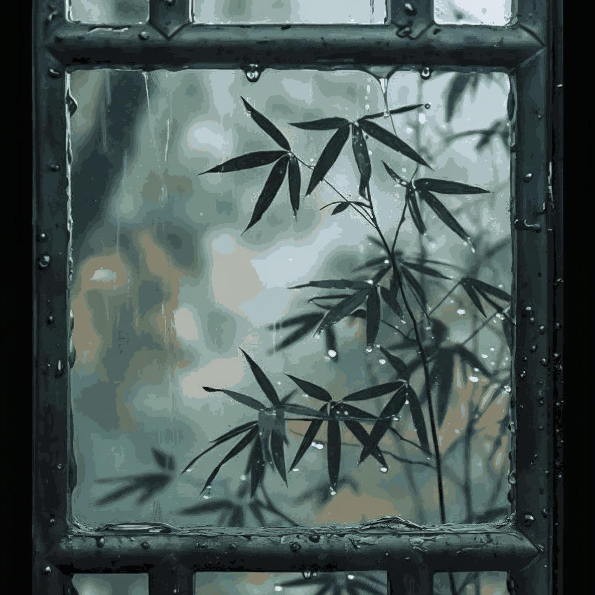 Framed by Rain - Monsoon Edition