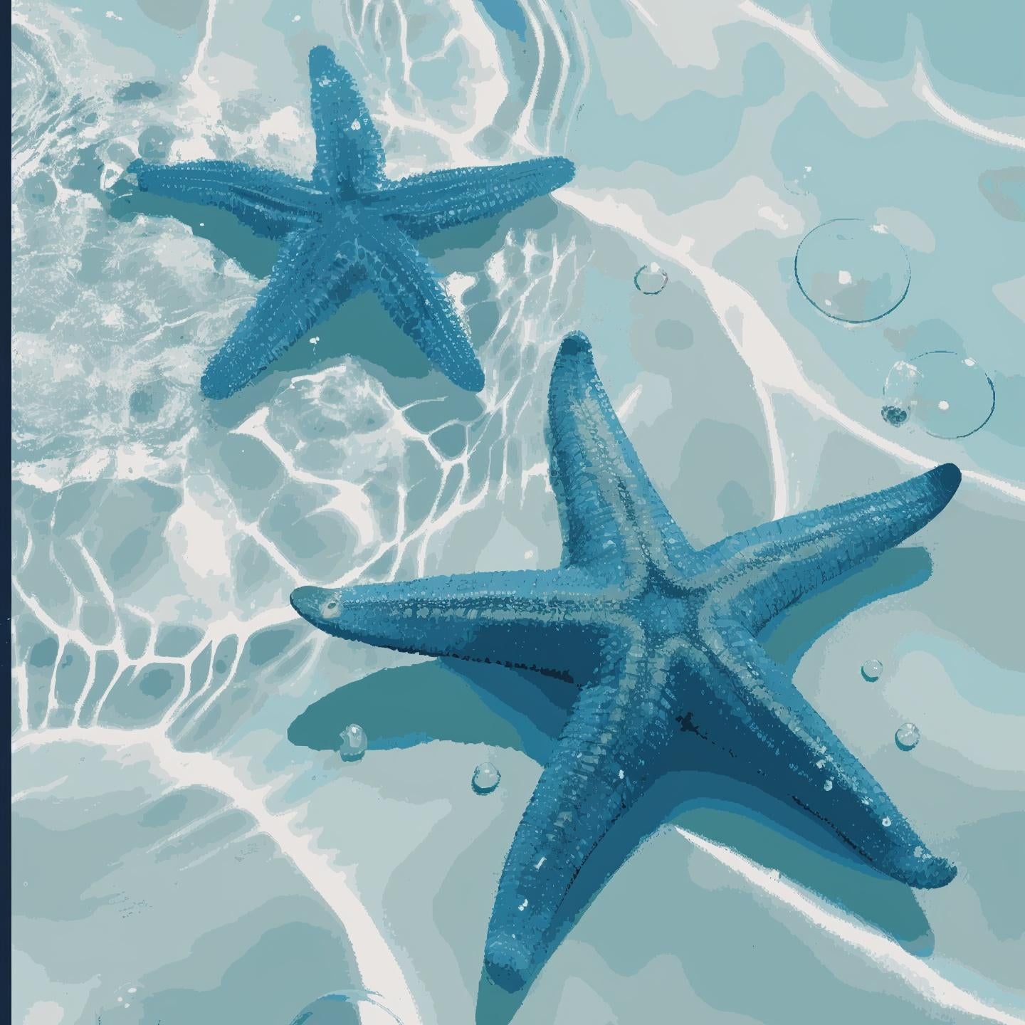 Coastal Jewels - Summer Edition