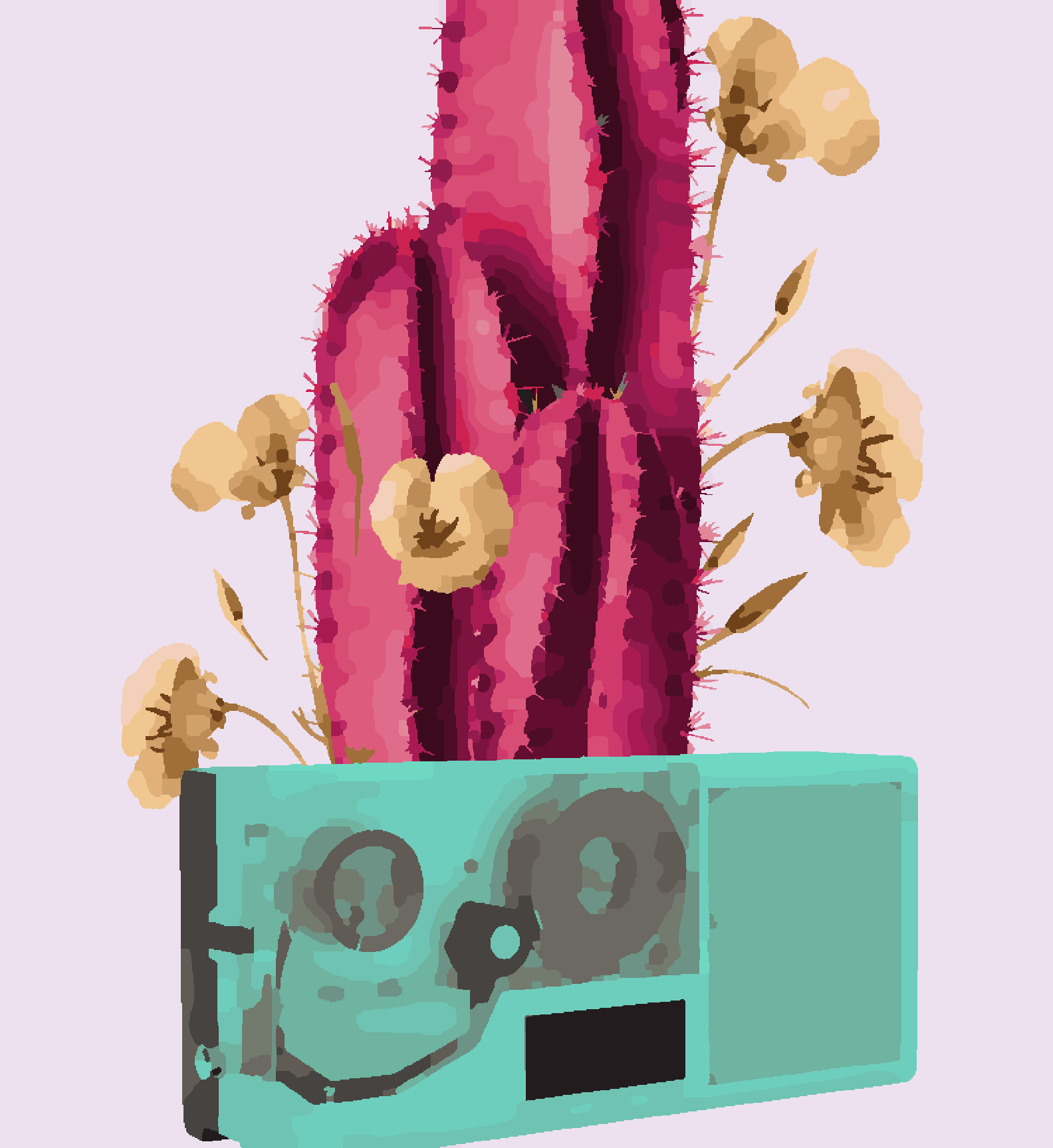 Abstract Pink Cactus