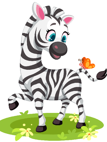 Baby Zebra with Butterfly