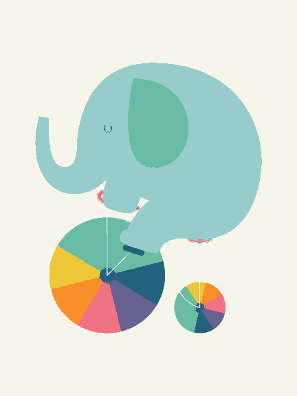 Elephant cycling