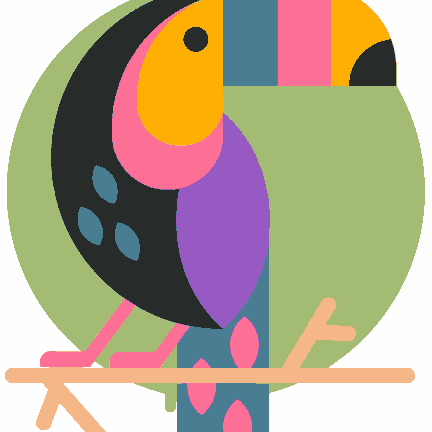 Toucan Bird Colorful