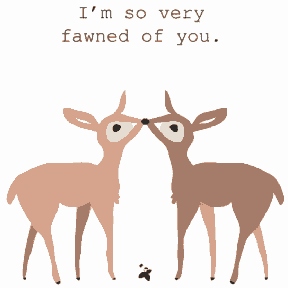 Fawned of You
