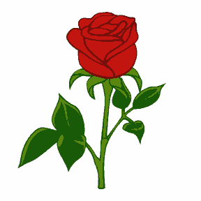 A Rose for You - Valentine Rose Day