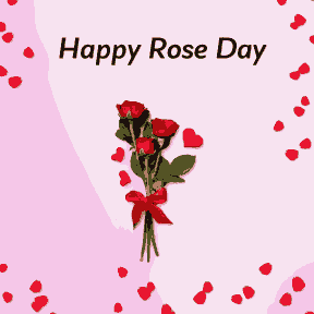 Happy Rose Day - Valentine Rose Day
