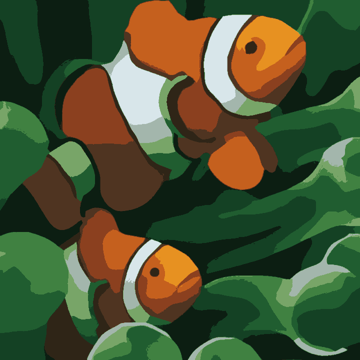 Nemo