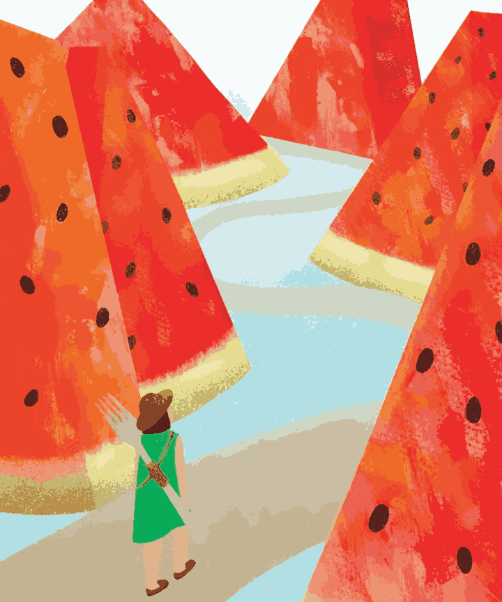Land of Melons - Summer Edition