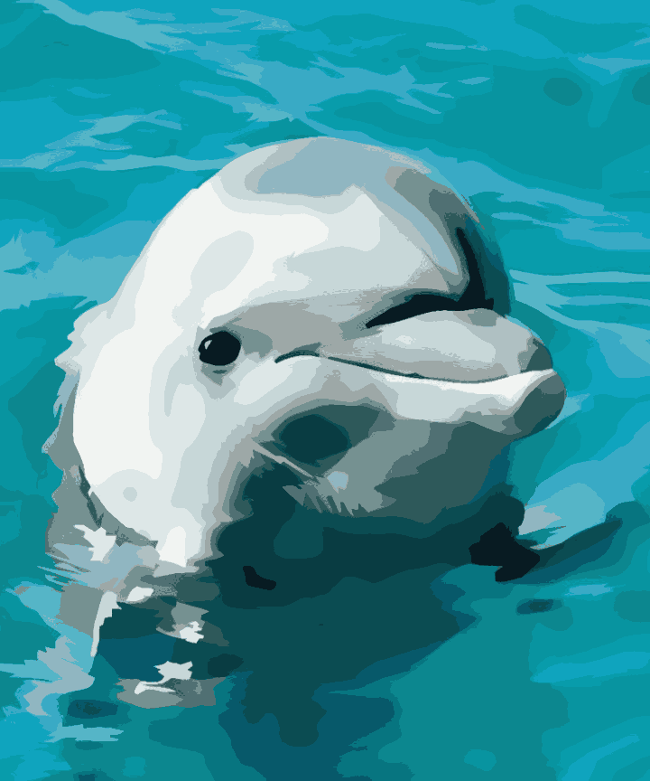 Cute Blue Joy Ride - Summer Edition