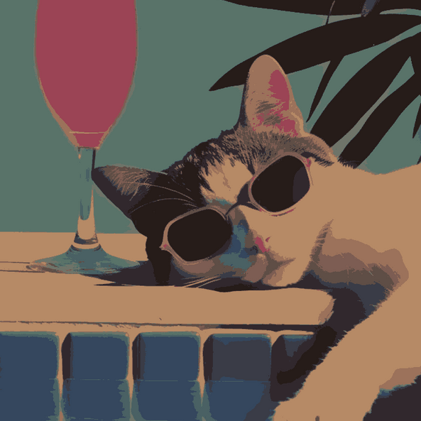 Pool Cat in hot Summer - Summer Edition