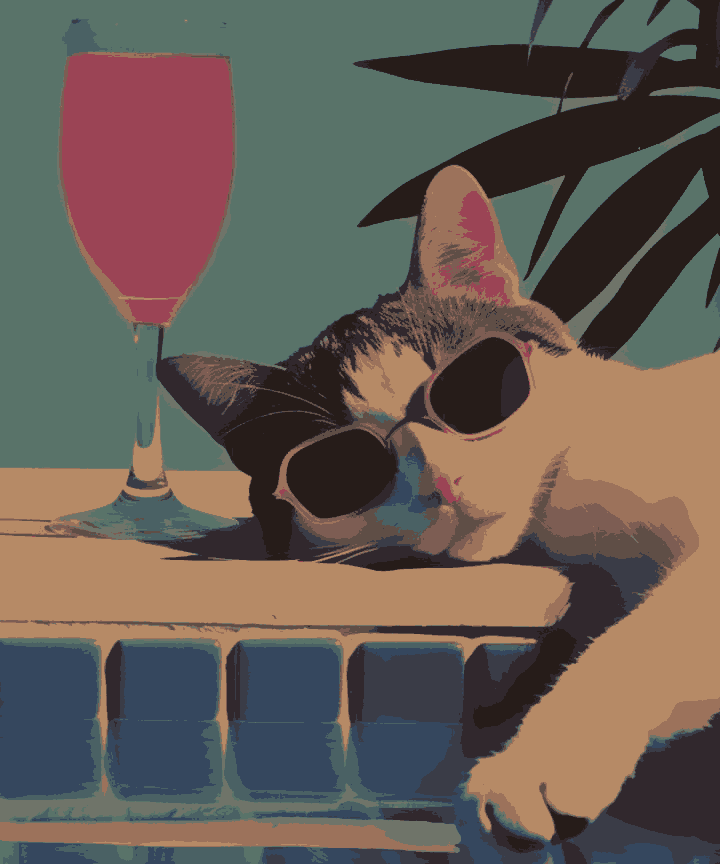 Pool Cat in hot Summer - Summer Edition