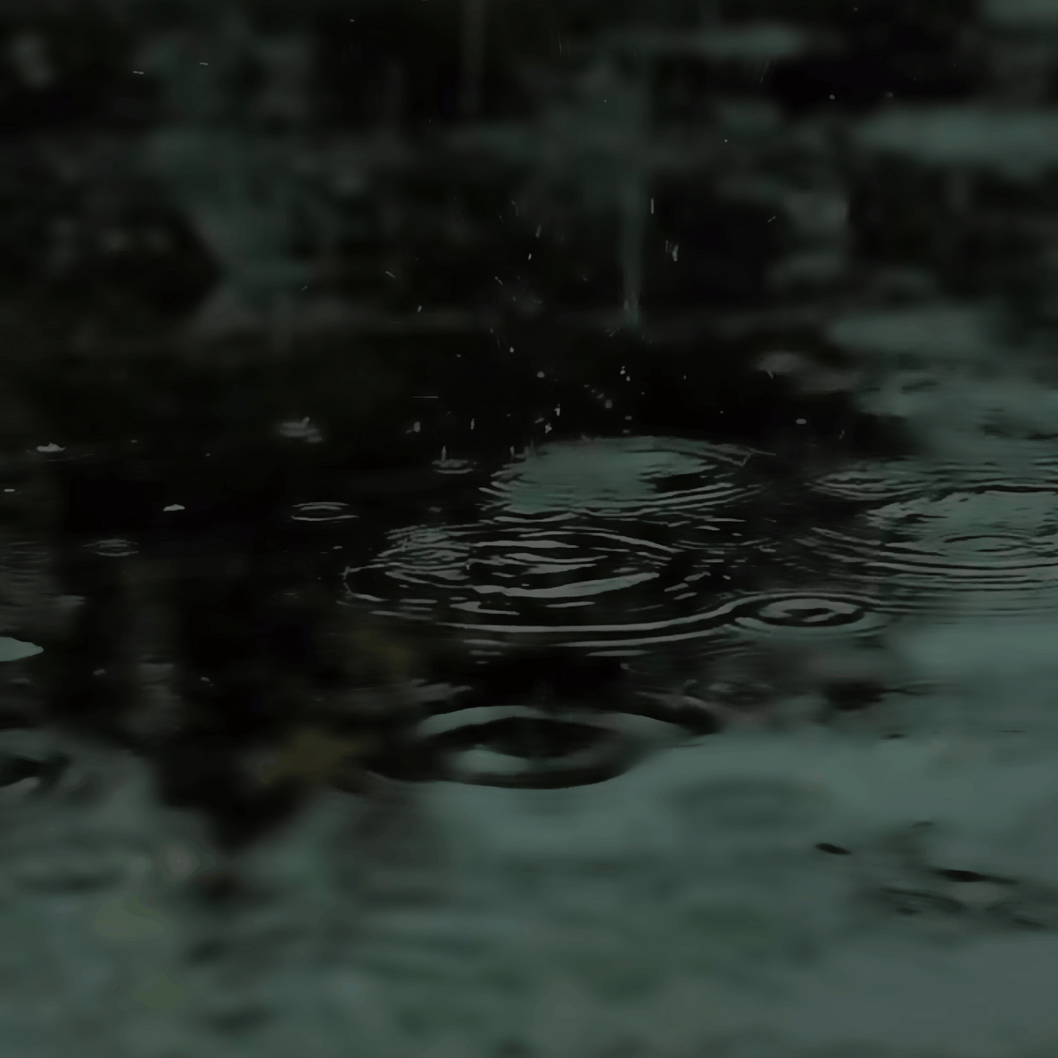 Saawan ki Boodein - Monsoon Edition