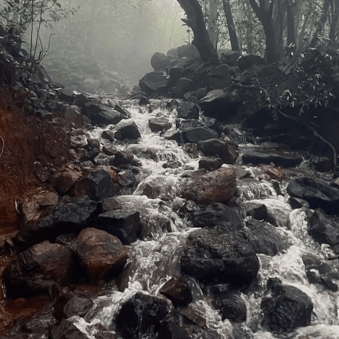 Sawan ka Safar - Monsoon Edition