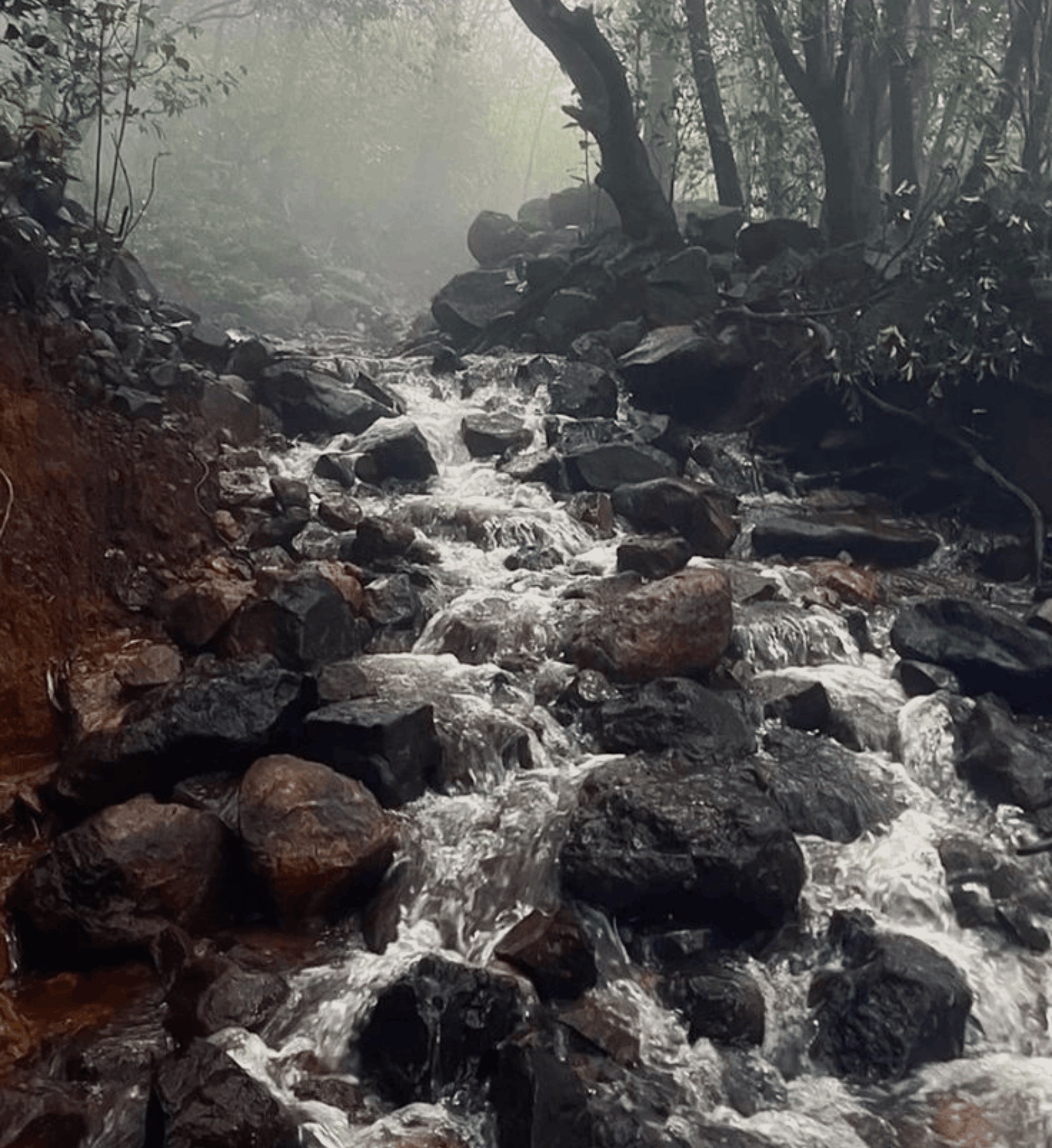 Sawan ka Safar - Monsoon Edition