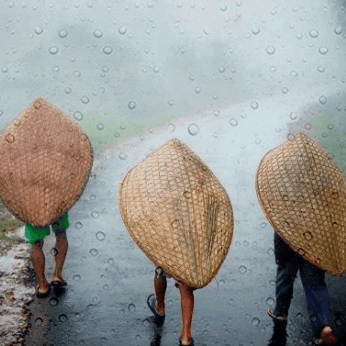 Pehli Baarish - Monsoon Edition