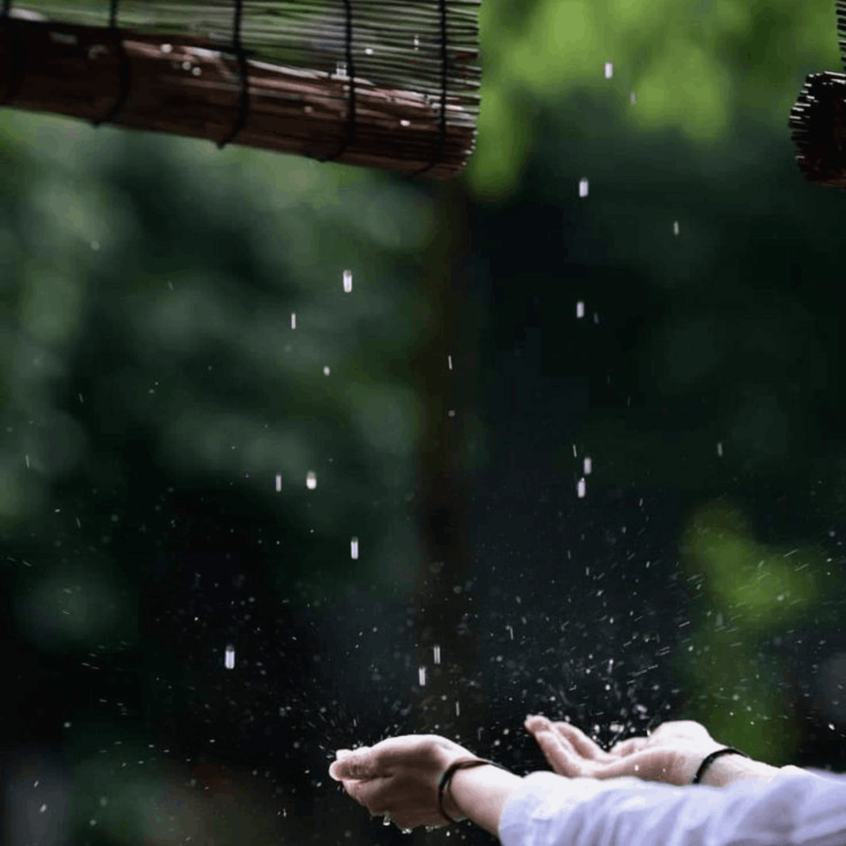 Saawan Lit - Monsoon Edition