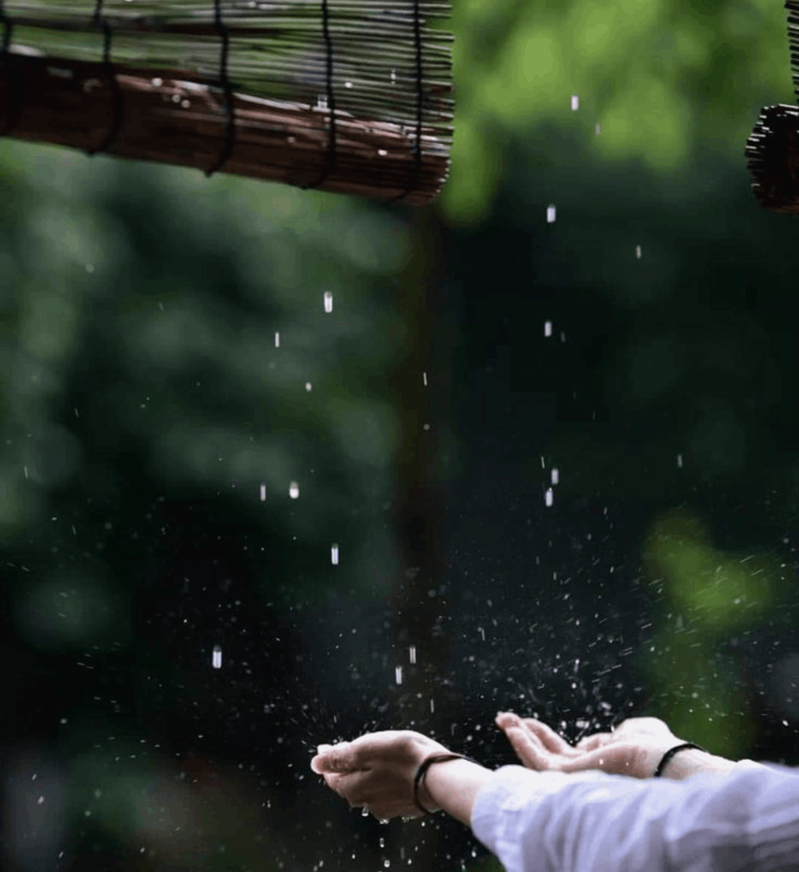 Saawan Lit - Monsoon Edition